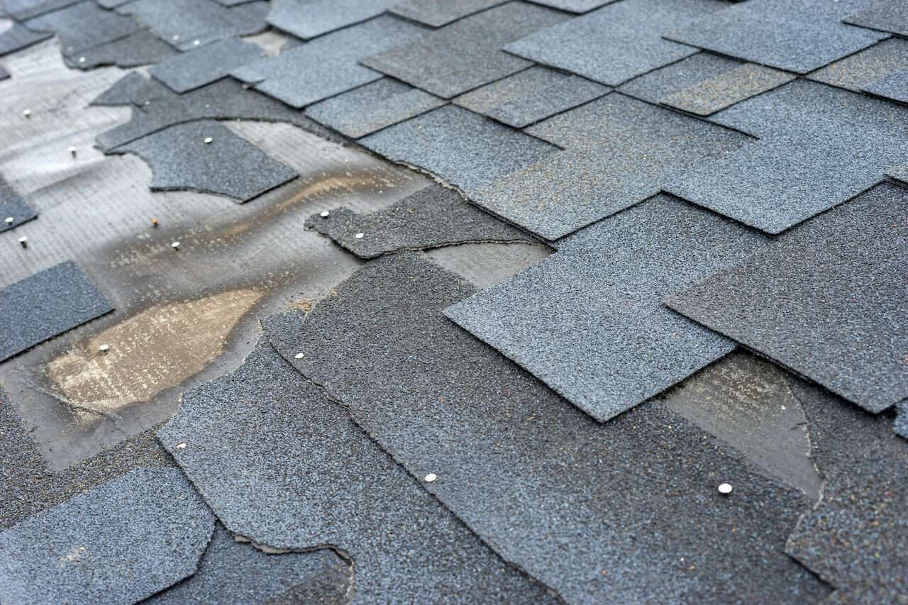 Roof Maintenance Tips for Every Season